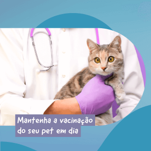 Gato e médico
